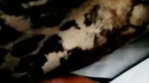 Pelbagai Anak Ayam Hisap Batang Menunjukkan Kemahiran cerita ustazah lesbian